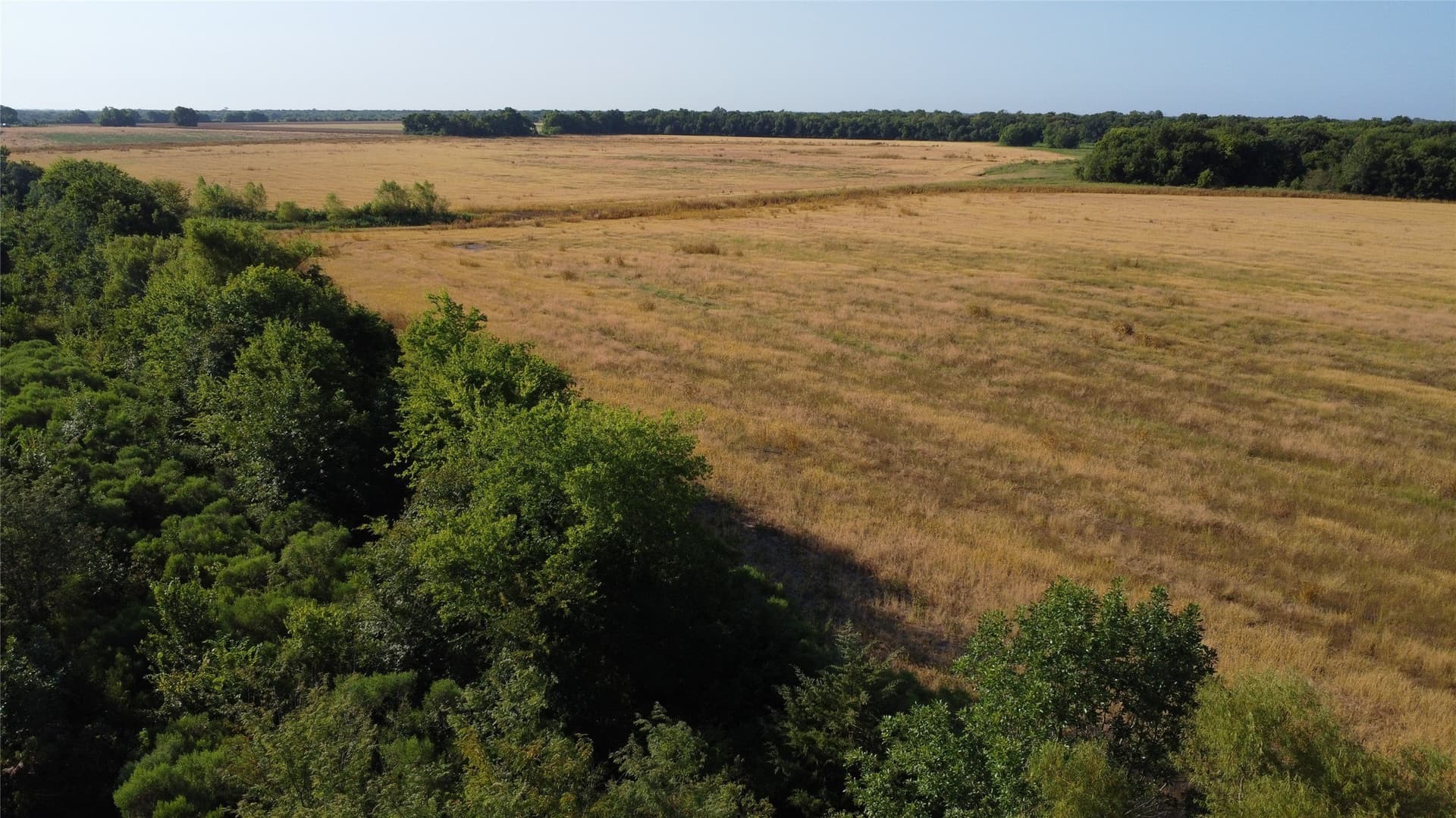 69.18 acres in Lamar County - photo 9