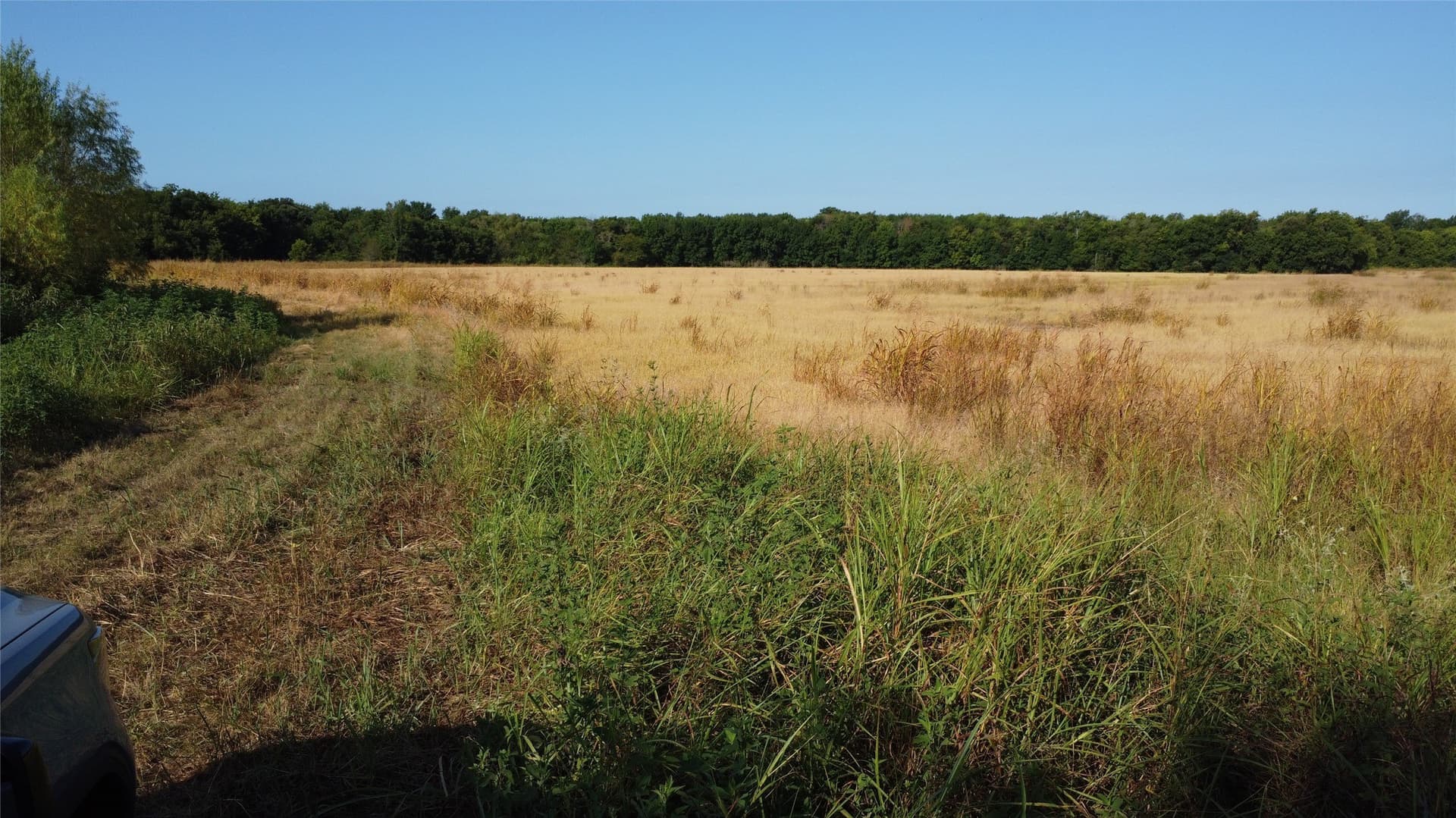 69.18 acres in Lamar County - photo 20