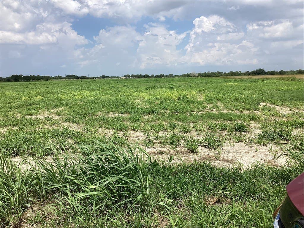 11.55 acres in Jim Wells County gallery image 2