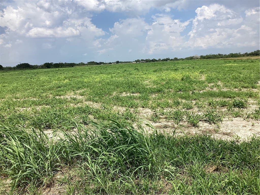 11.55 acres in Jim Wells County gallery image 3