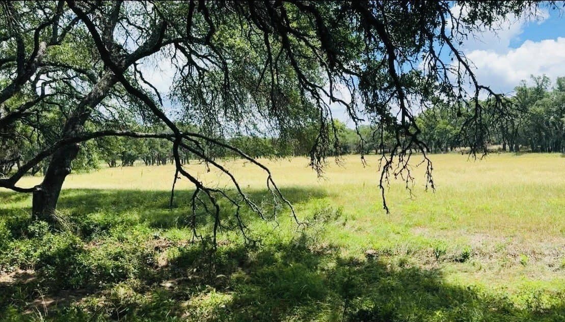 4 acres in Blanco County - photo 2