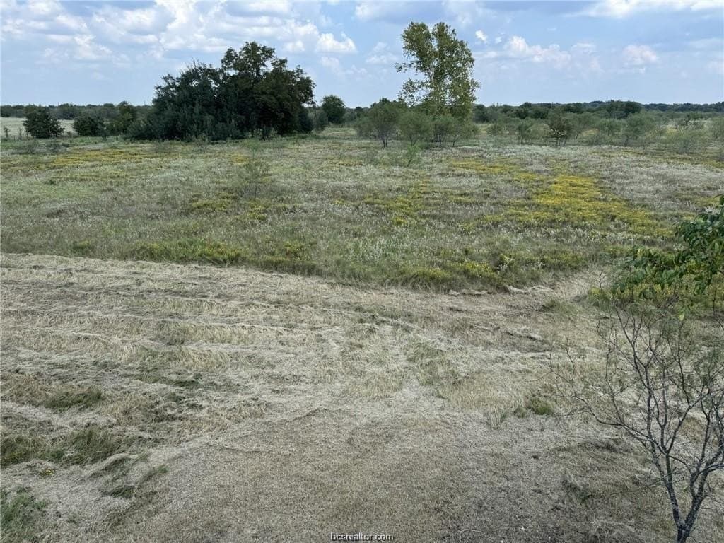 80 acres in Limestone County gallery image 4