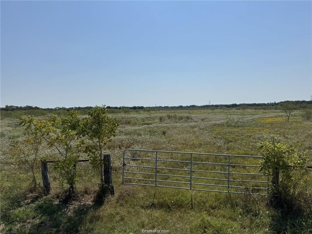 80 acres in Limestone County gallery image 2