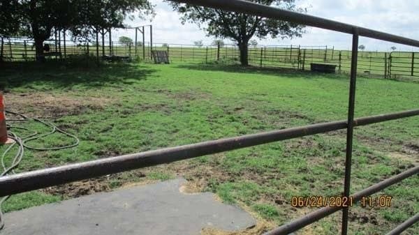 78.75 acres in Ellis County gallery image 4