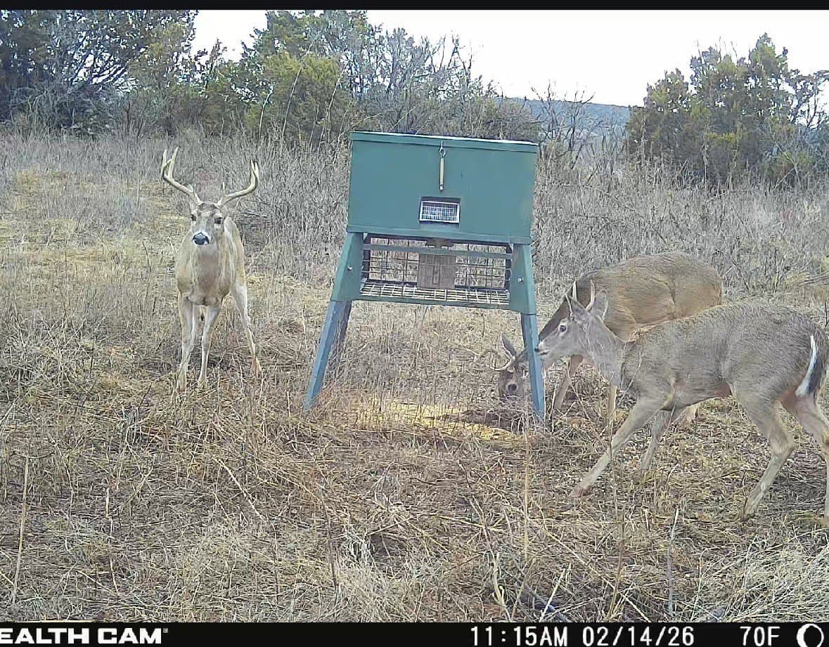 81.29 acres in Taylor County - photo 17
