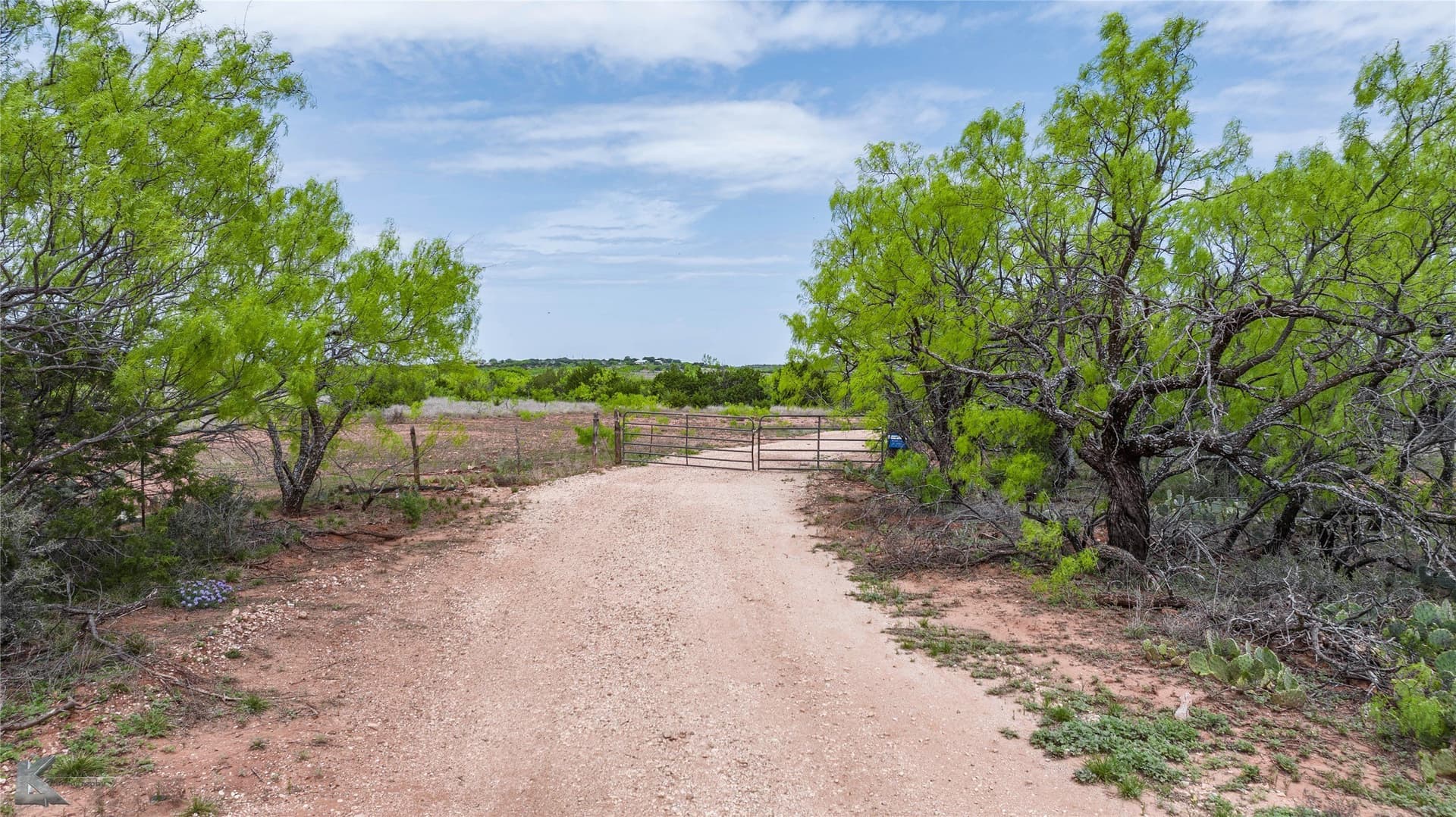 81.29 acres in Taylor County - photo 16