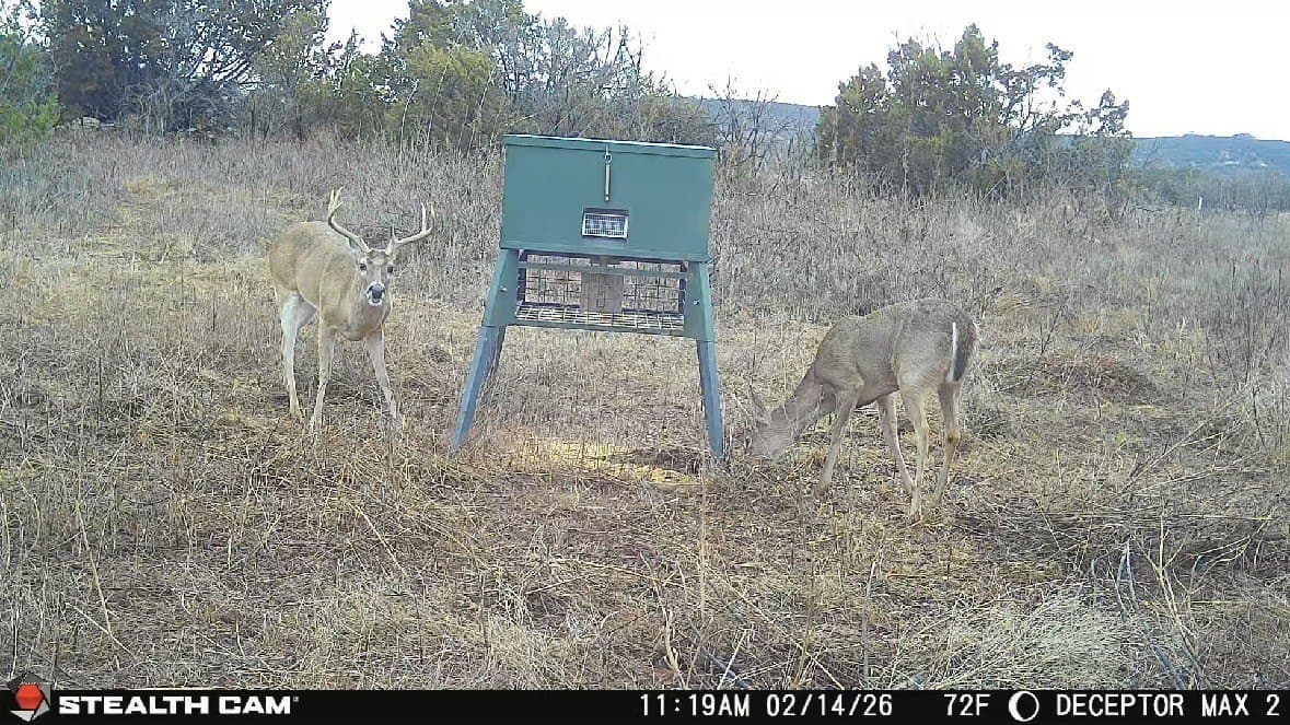 81.29 acres in Taylor County - photo 4