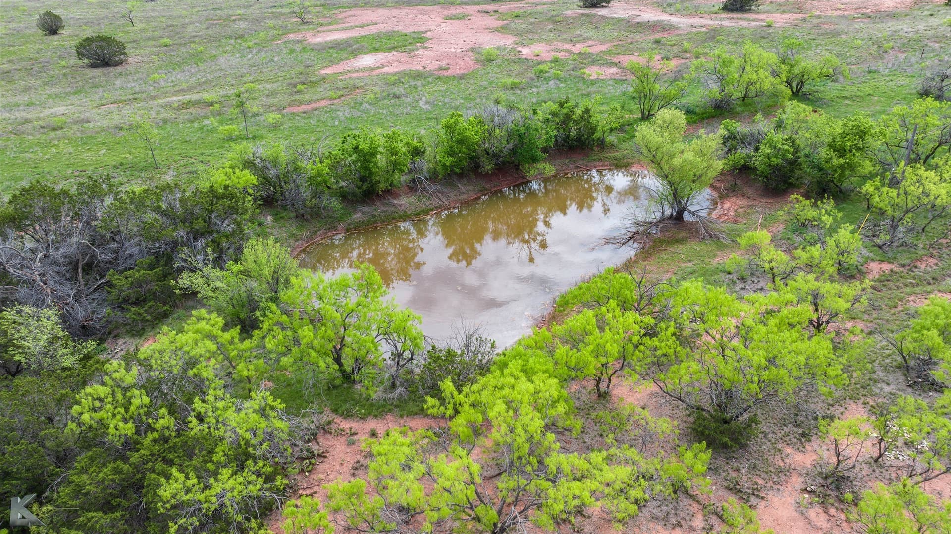 81.29 acres in Taylor County - photo 3