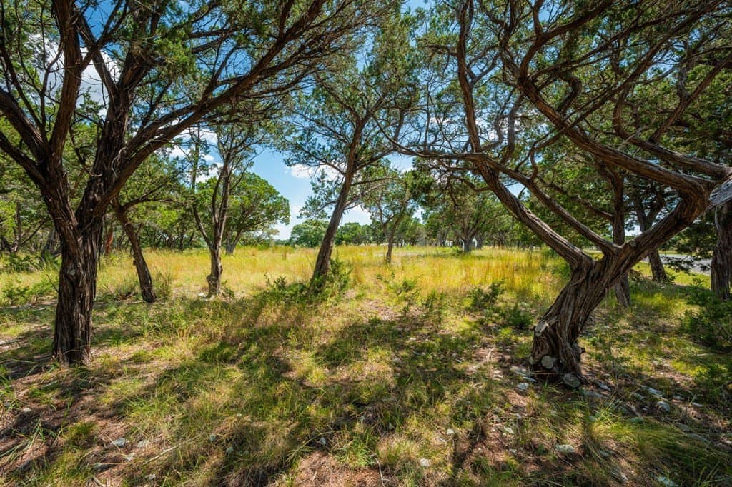 1.41 acres in Kerr County gallery image 3