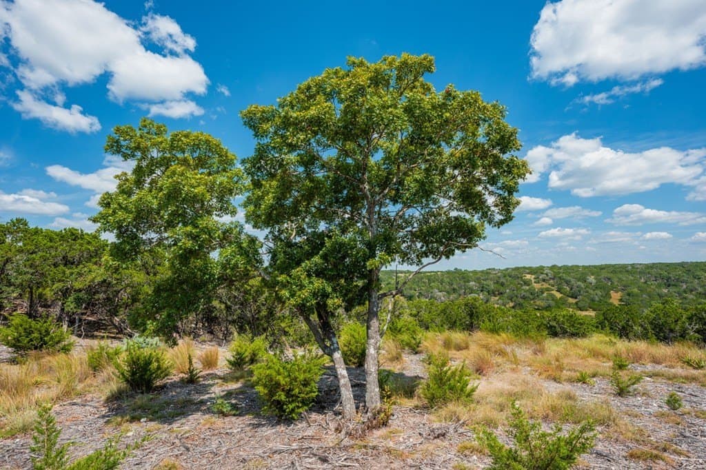 1.41 acres in Kerr County - photo 13