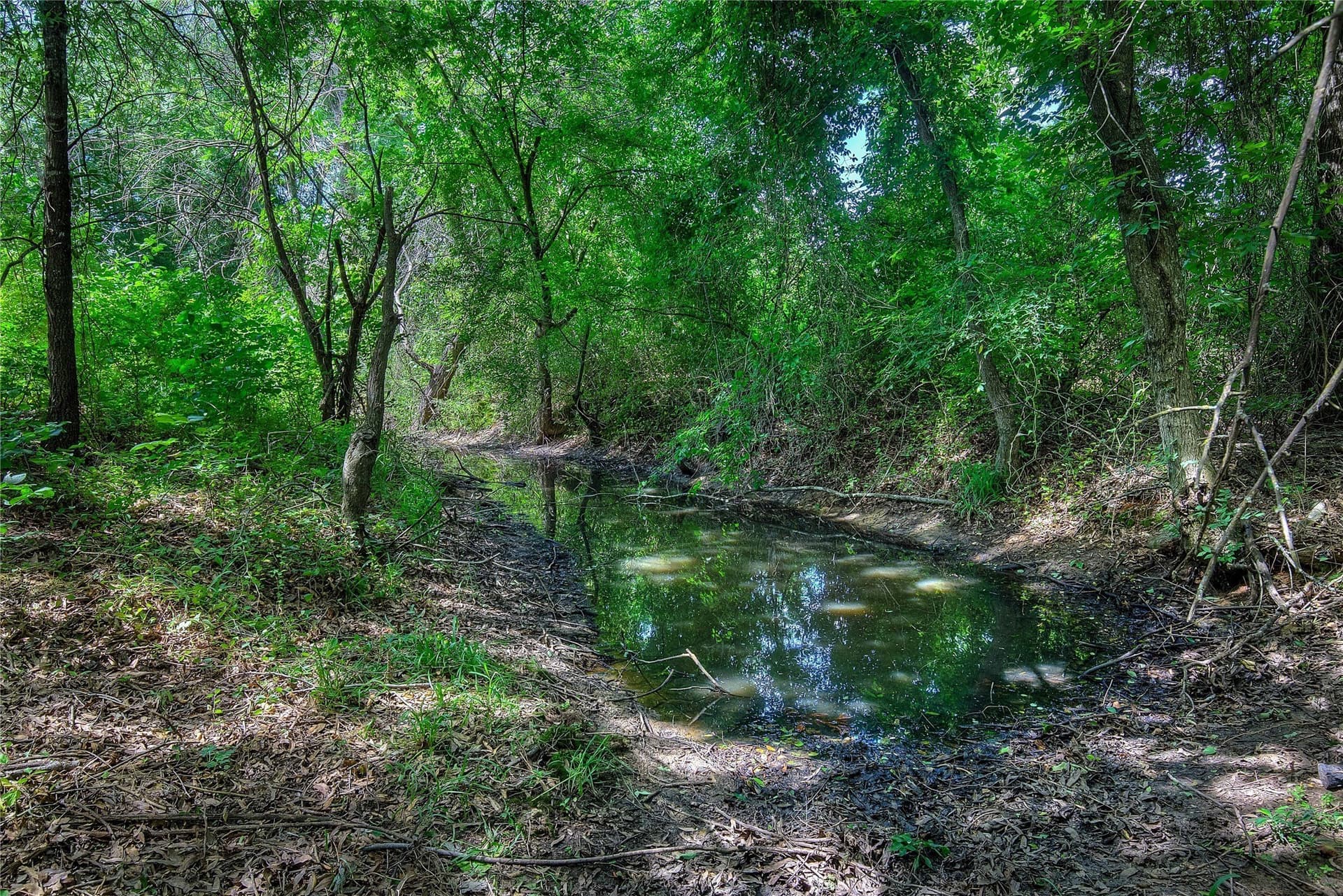 74.97 acres in Hopkins County - photo 36