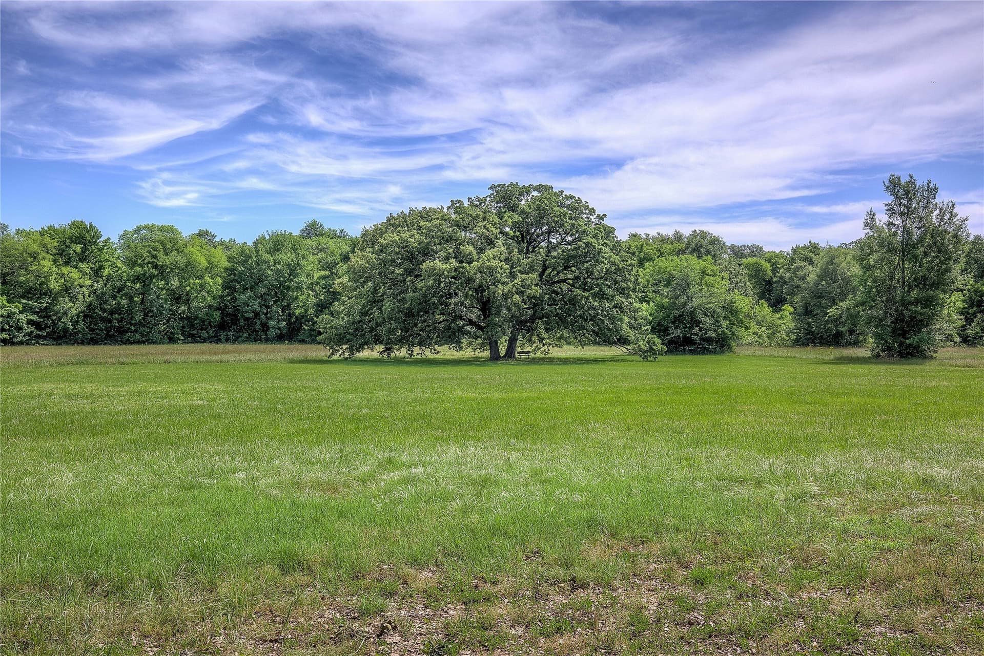 74.97 acres in Hopkins County - photo 39