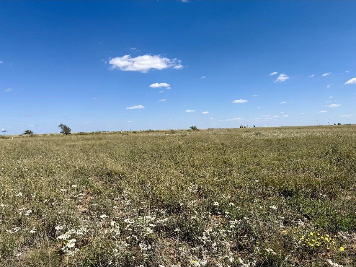 440 acres in Terry County gallery image 3
