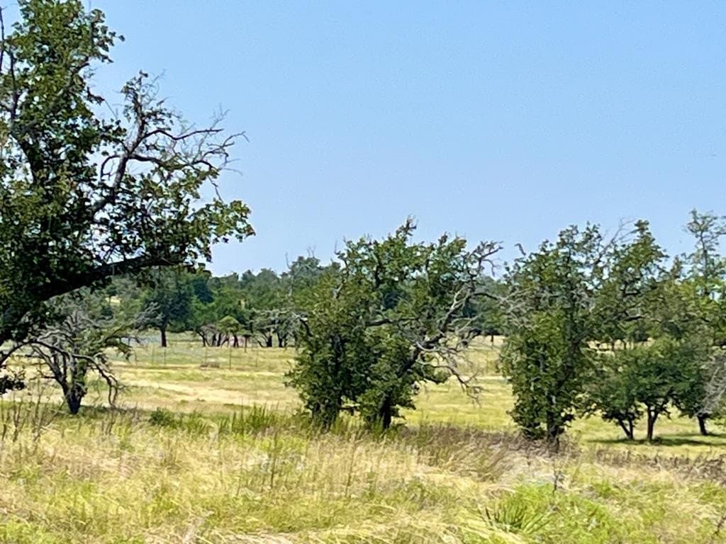 3.56 acres in Gillespie County - photo 8