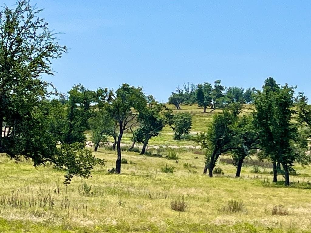 3.56 acres in Gillespie County - photo 10