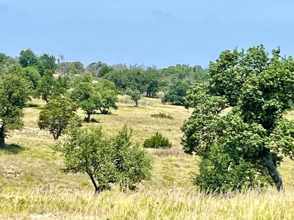 3.56 acres in Gillespie County - photo 7