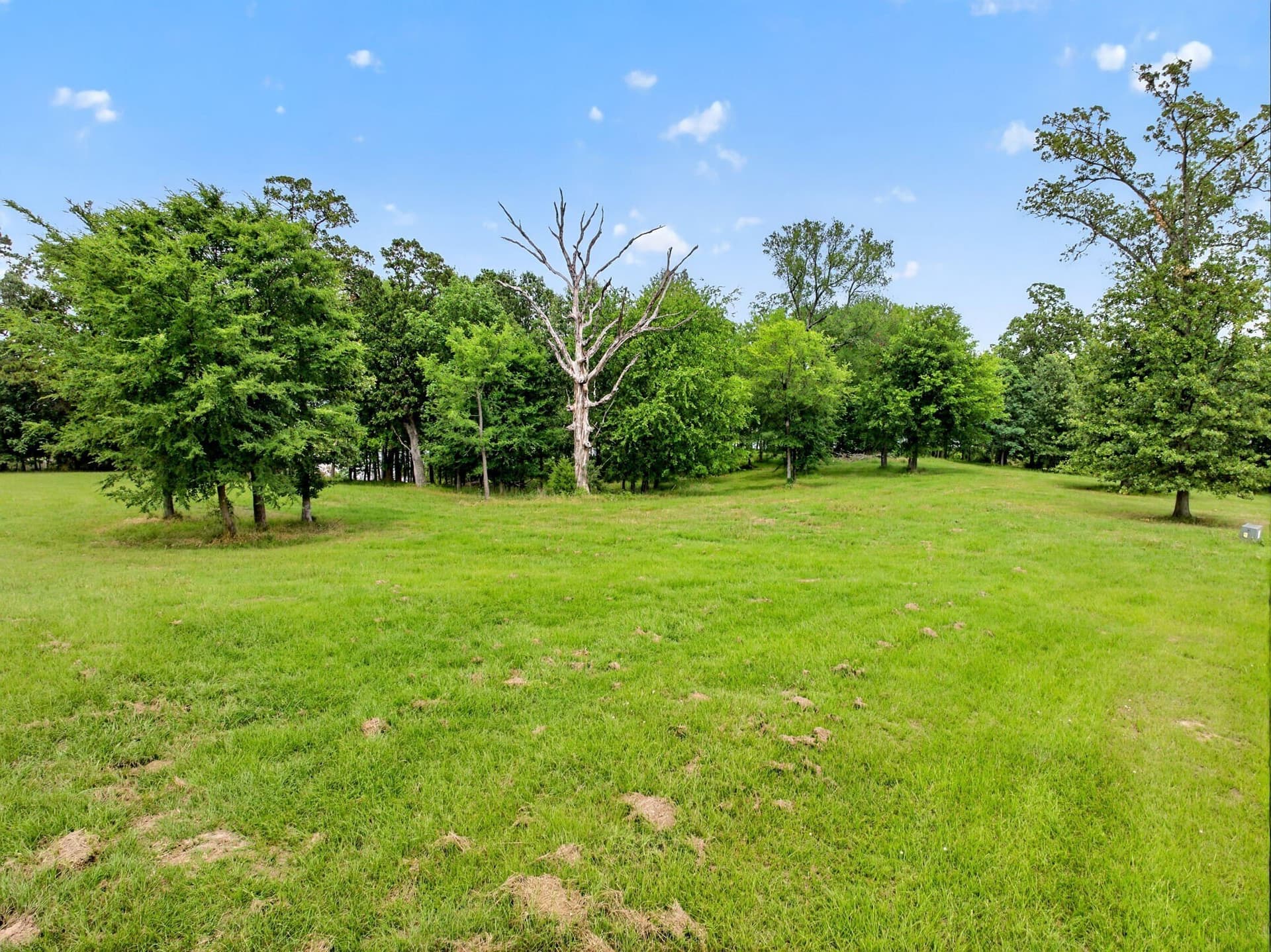 1.15 acres in Titus County - photo 24