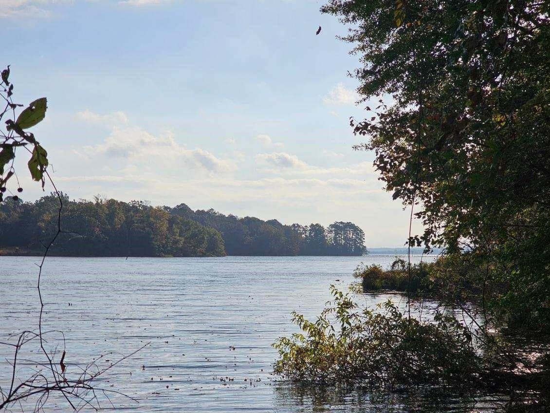 1.15 acres in Titus County - photo 31