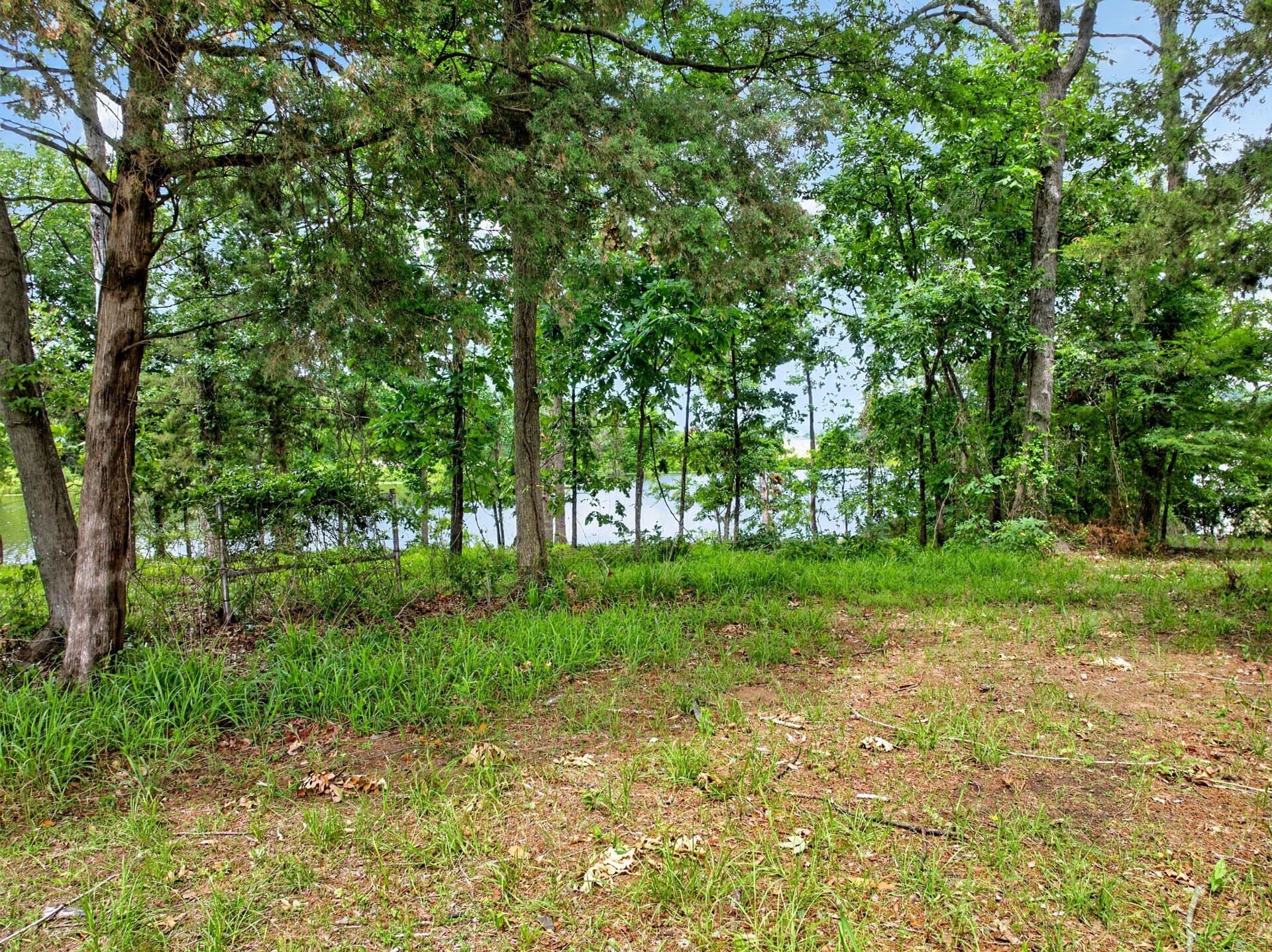 1.15 acres in Titus County - photo 29