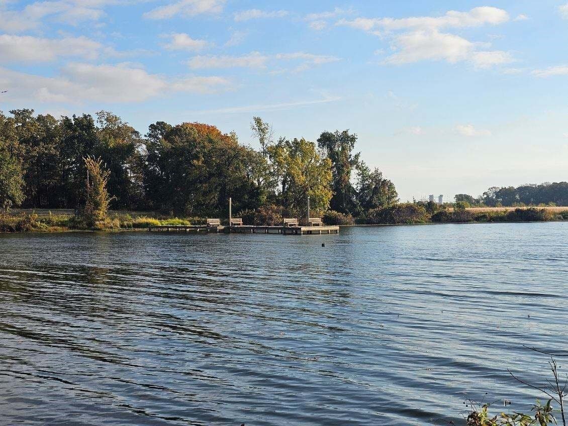 1.15 acres in Titus County - photo 32