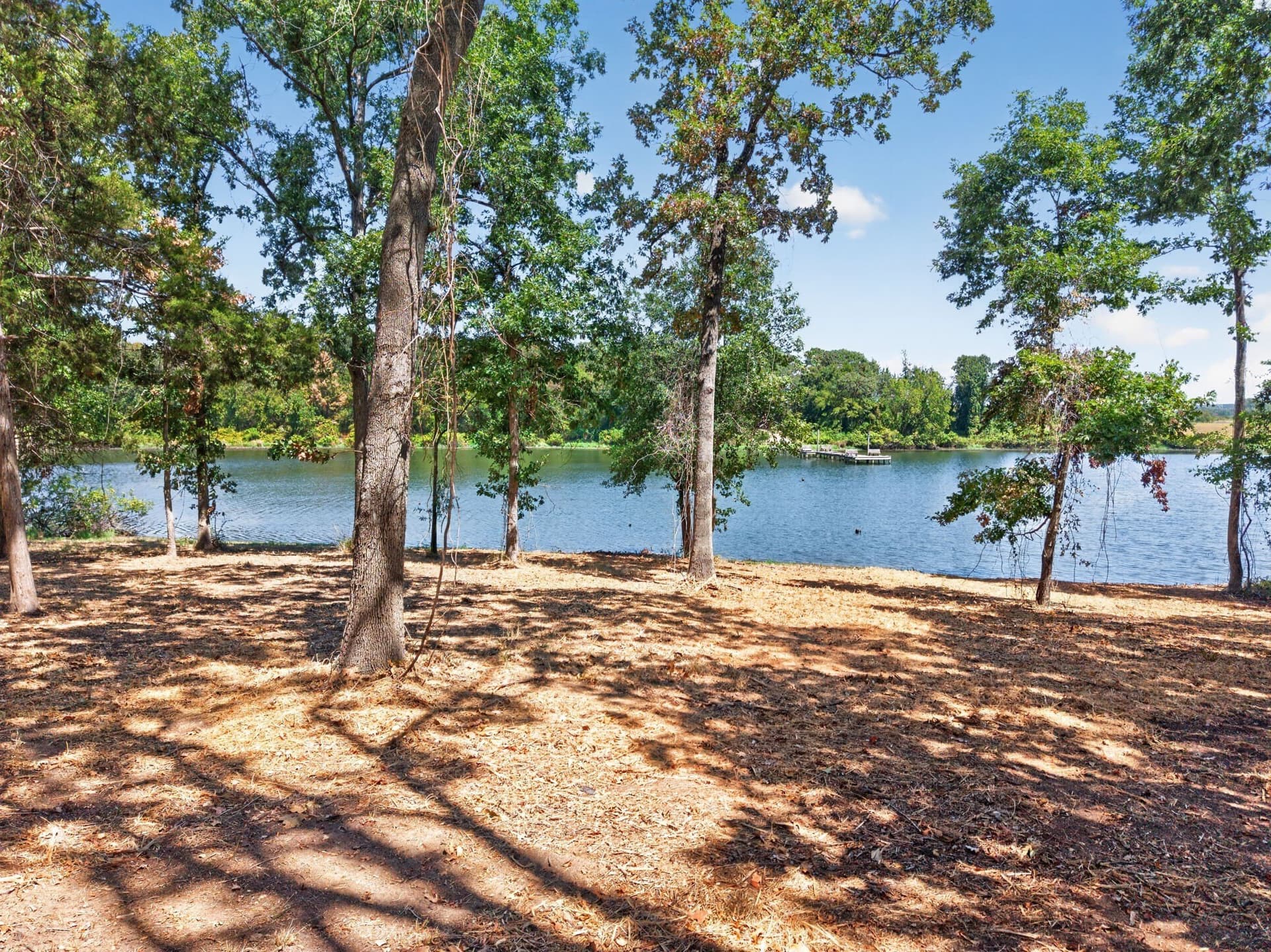 1.15 acres in Titus County - photo 5
