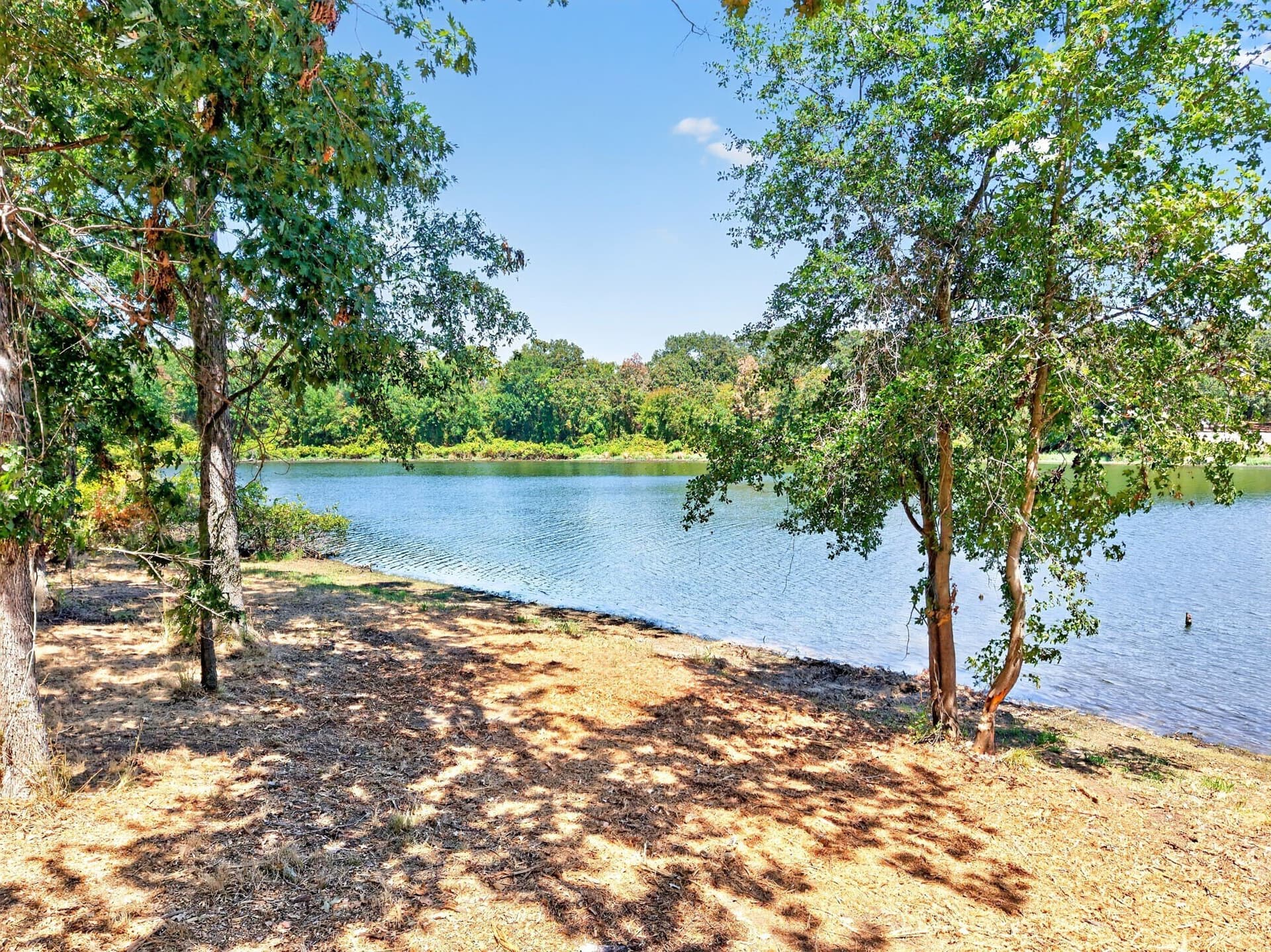 1.15 acres in Titus County - photo 4