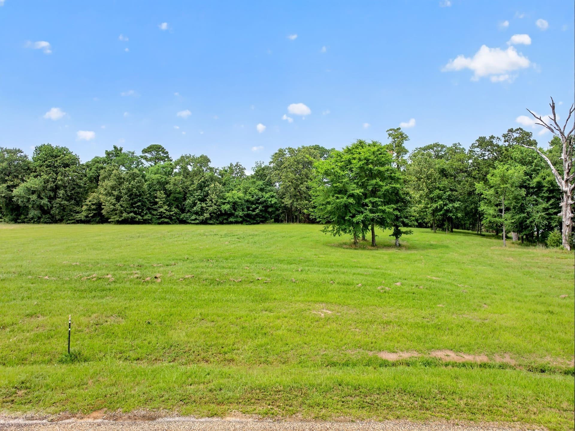 1.15 acres in Titus County - photo 26