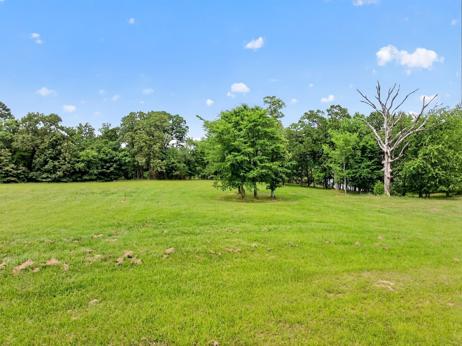1.15 acres in Titus County - photo 23