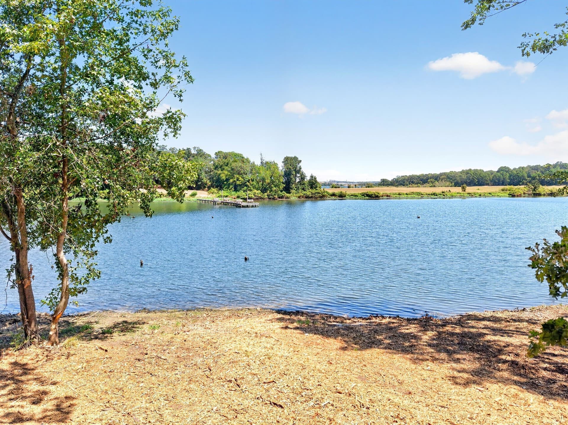 1.15 acres in Titus County - photo 14