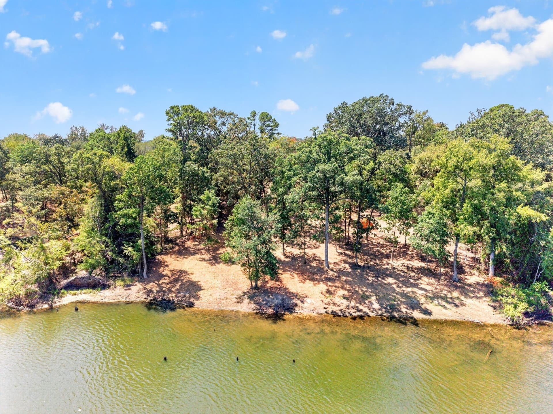 1.15 acres in Titus County - photo 6