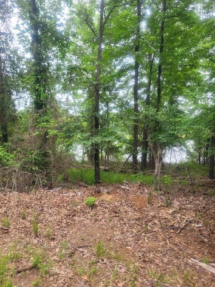 1.15 acres in Titus County - photo 28