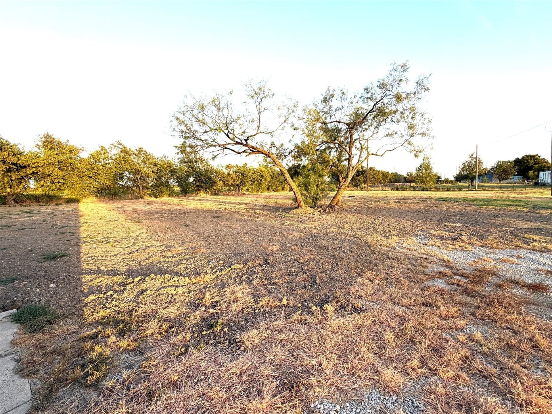 1 acres in Denton County - photo 6