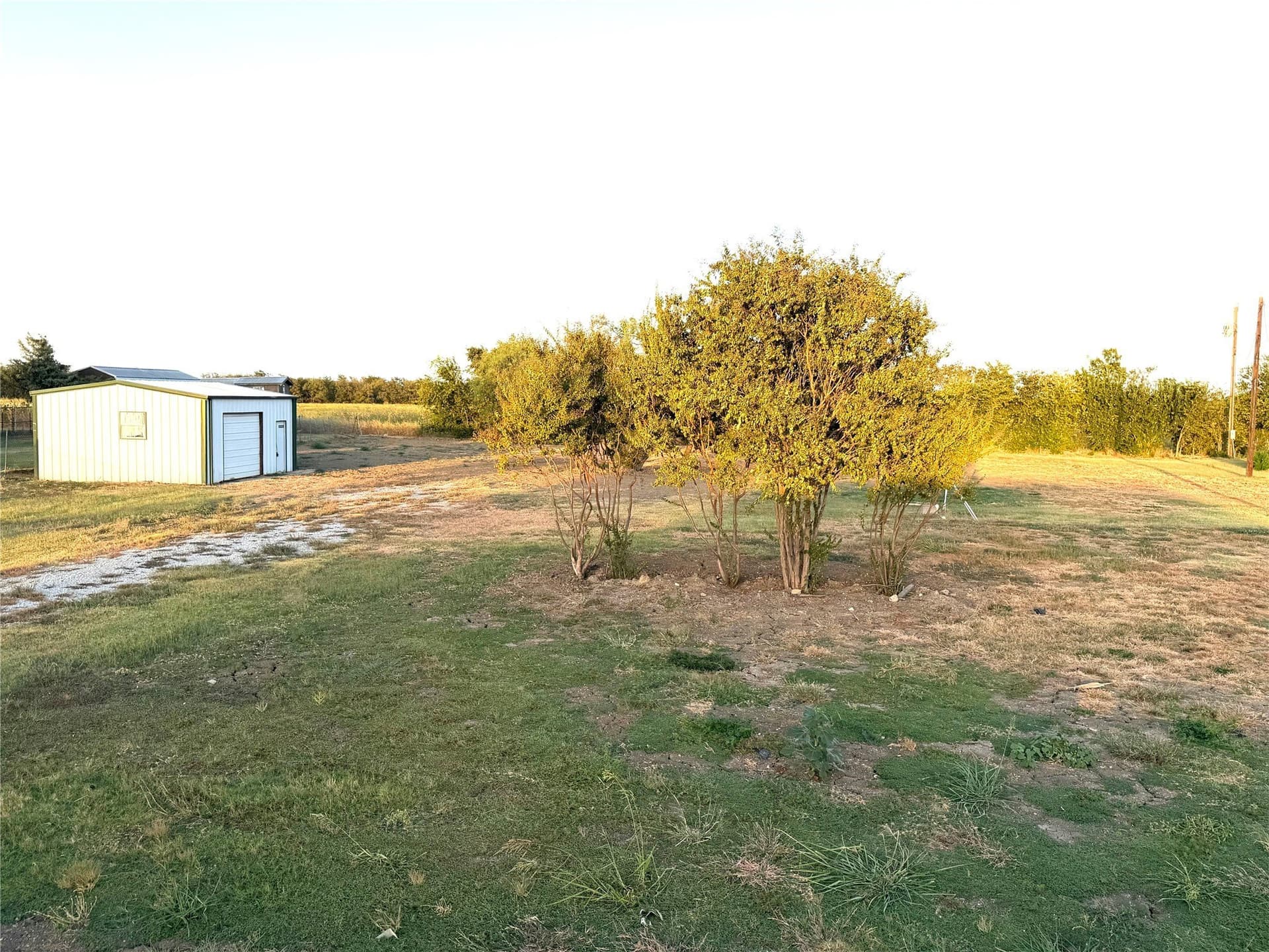 1 acres in Denton County - photo 8