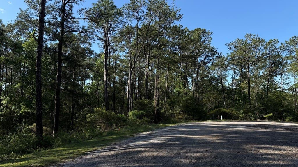 0.31 acres in Texas County gallery image 4