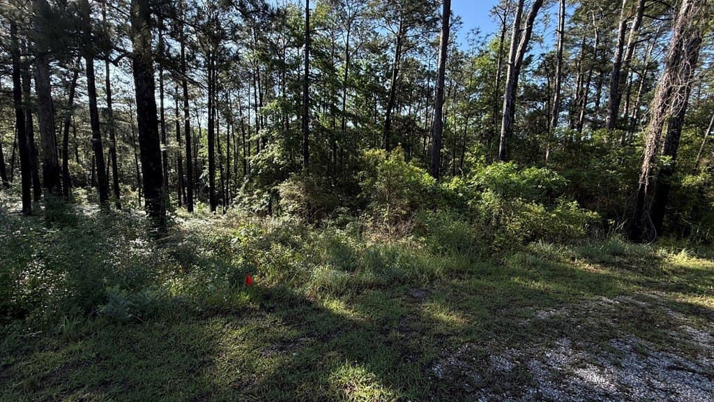 0.31 acres in Texas County gallery image 3