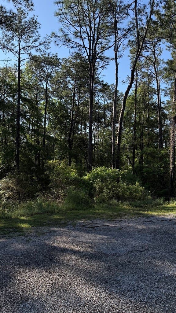 0.31 acres in Texas County featured view