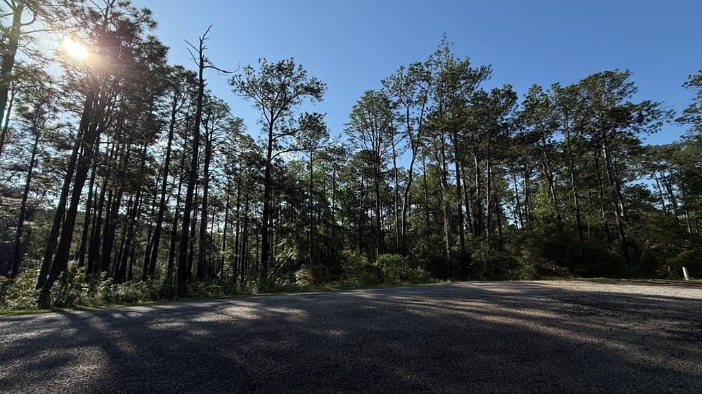 0.31 acres in Texas County gallery image 2