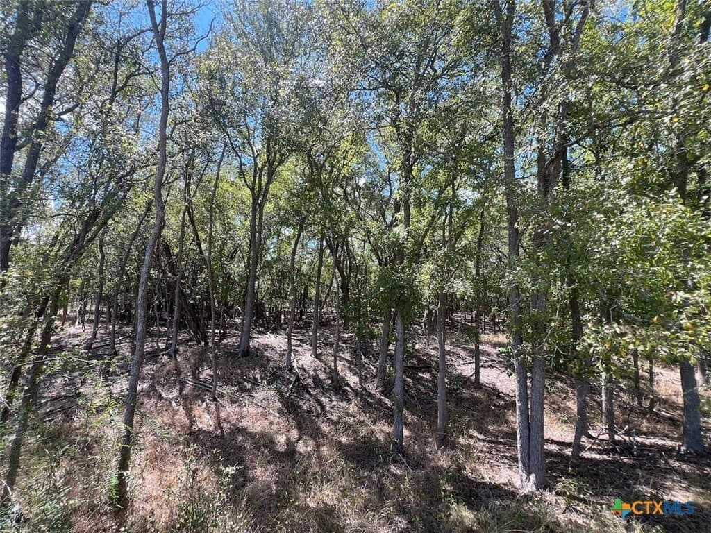 2.12 acres in Caldwell County - photo 8