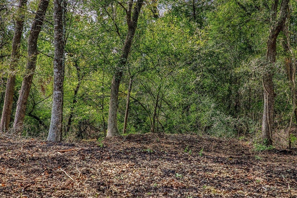 11.7 acres in Washington County - photo 22