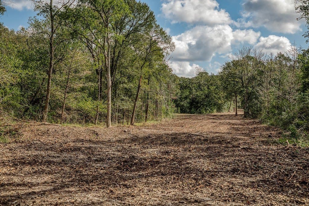 11.7 acres in Washington County - photo 12