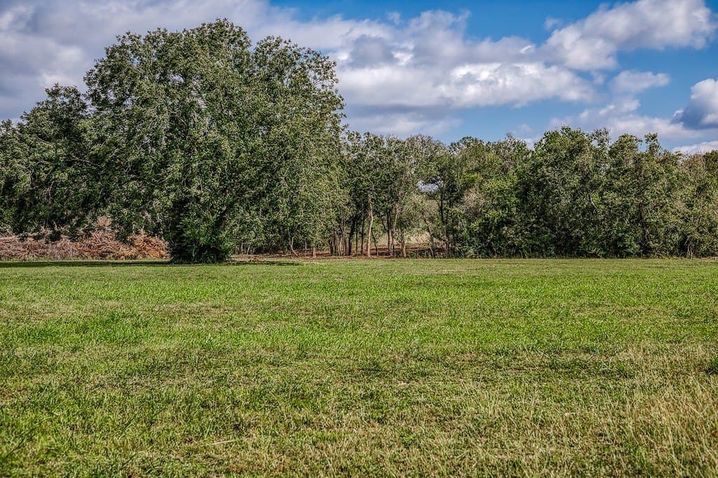 11.7 acres in Washington County - photo 14