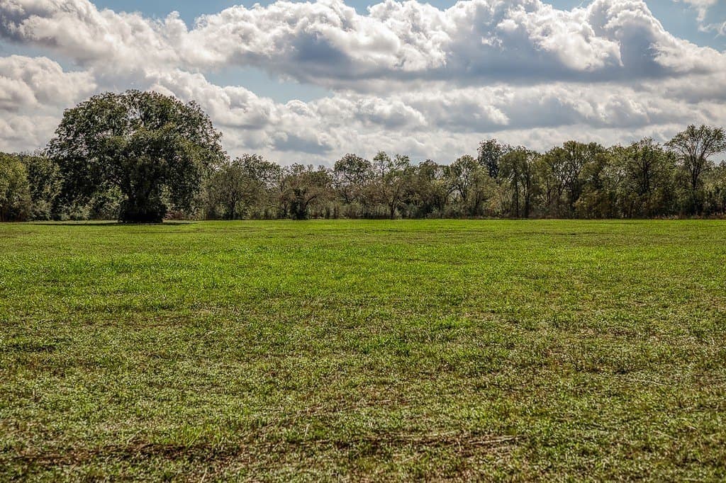 11.7 acres in Washington County - photo 9