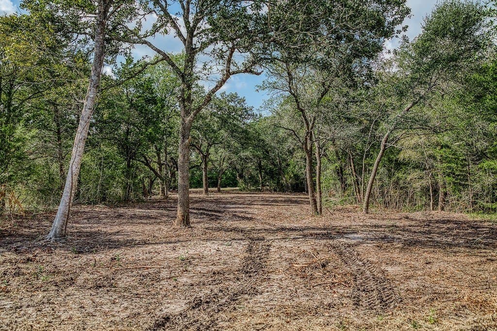 11.7 acres in Washington County - photo 28