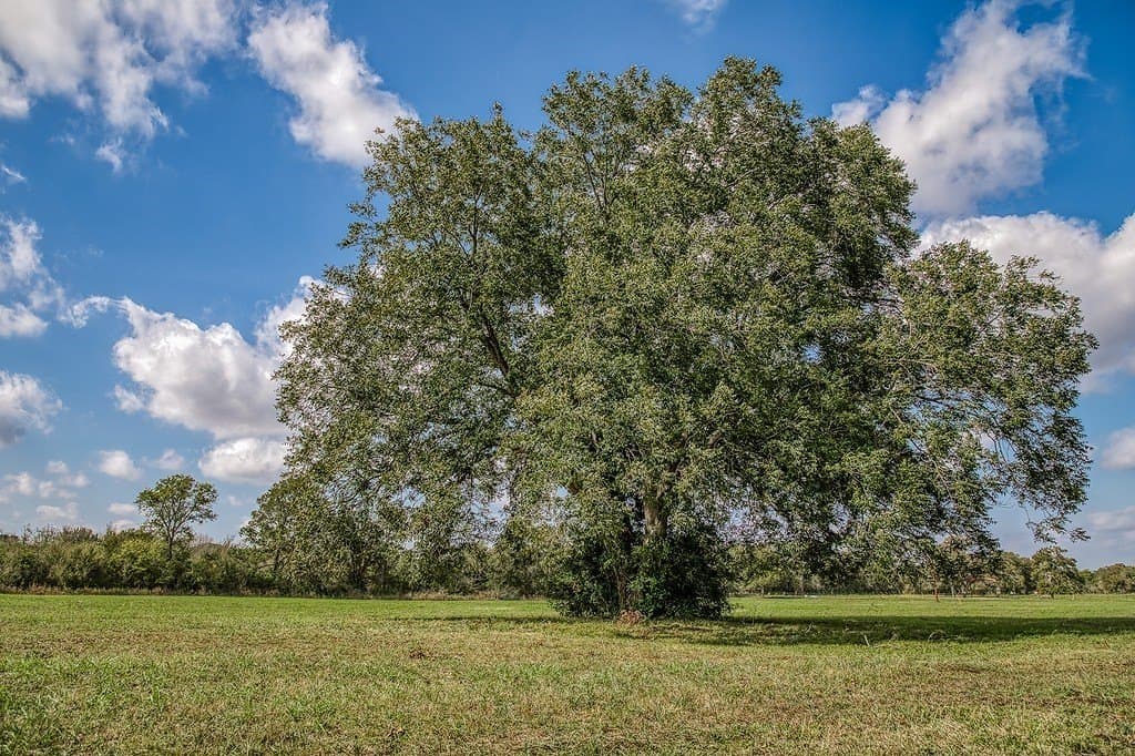 11.7 acres in Washington County - photo 17