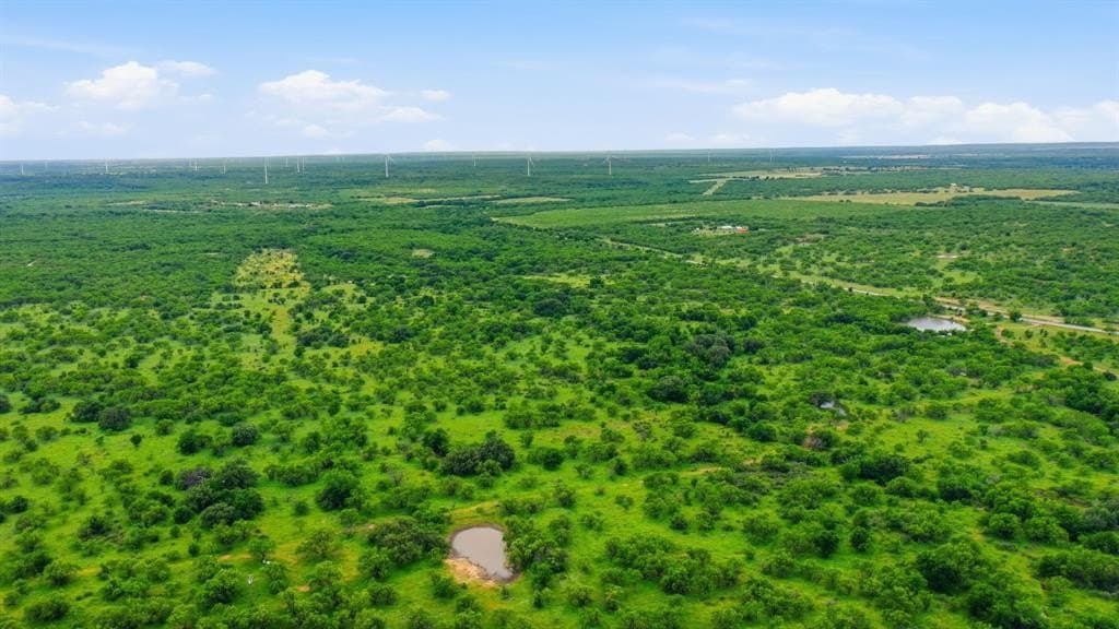 38 acres in Shackelford County gallery image 3