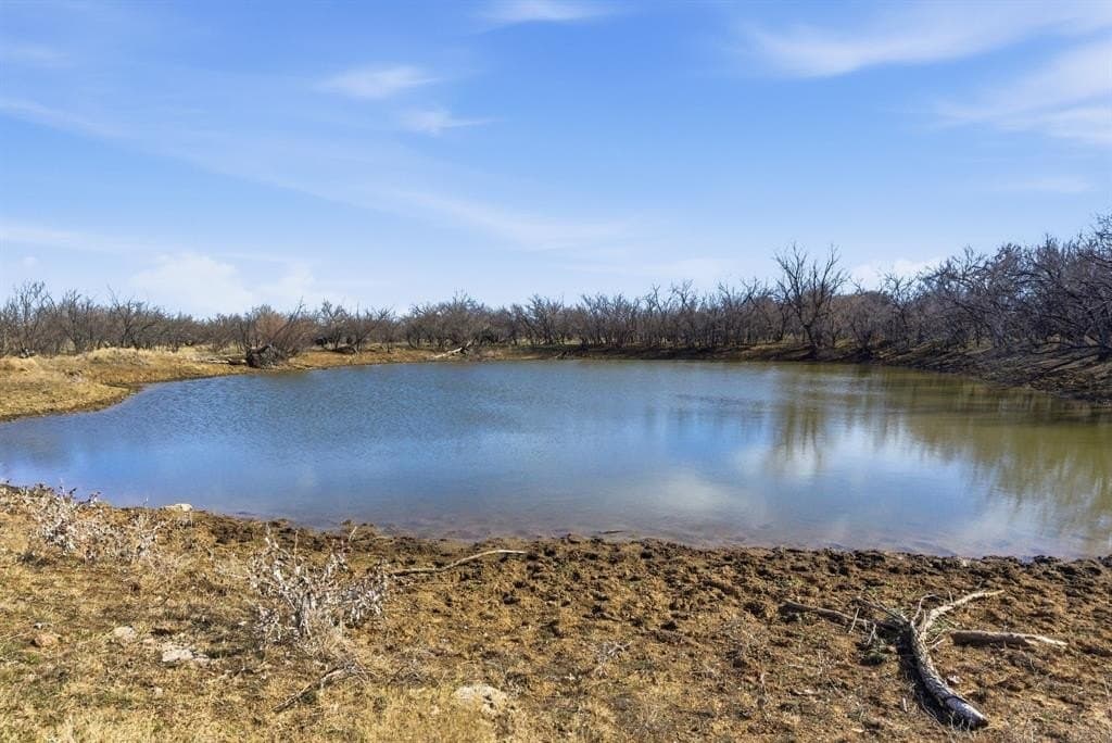 38 acres in Shackelford County gallery image 3