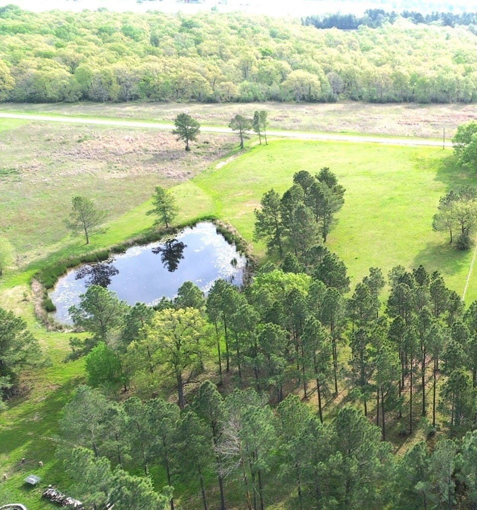 10.01 acres in Texas County gallery image 3