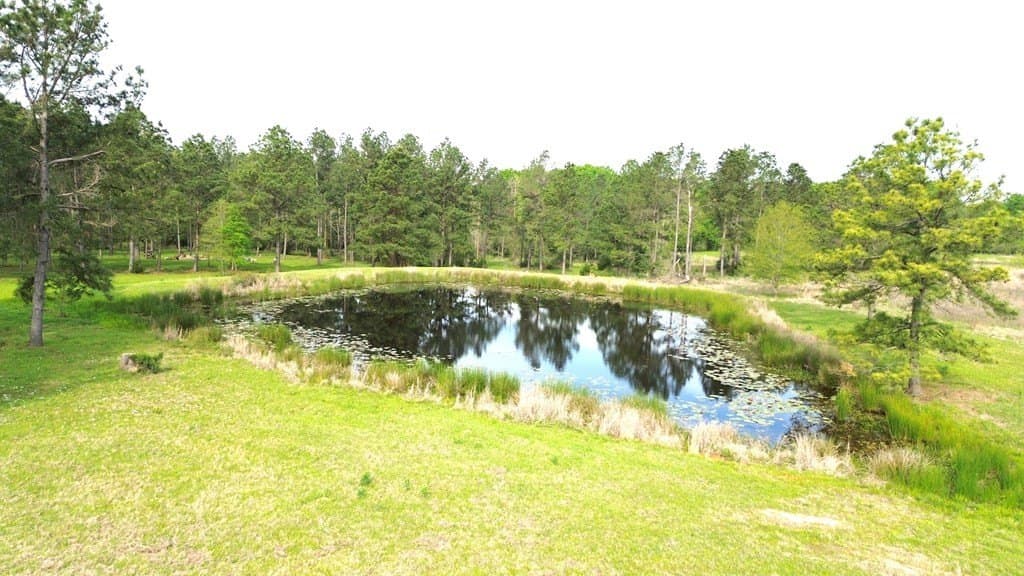 10.01 acres in Texas County gallery image 4