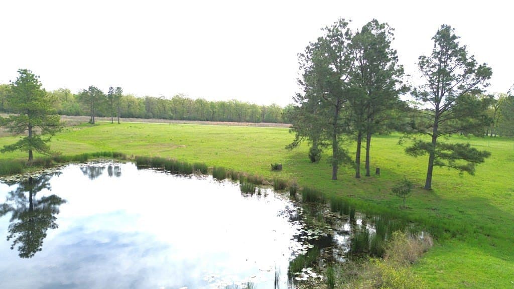 10.01 acres in Texas County featured view