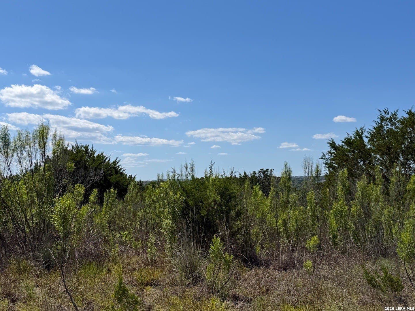 1.4 acres in Comal County - photo 9